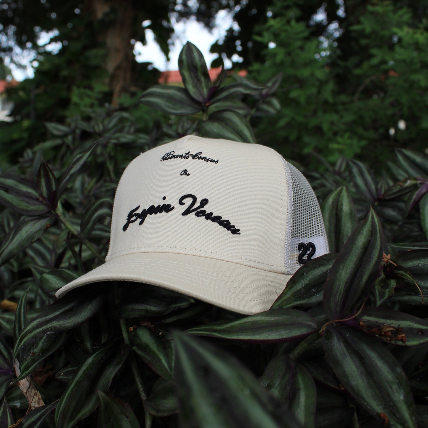 Espin Vereau Sand Trucker