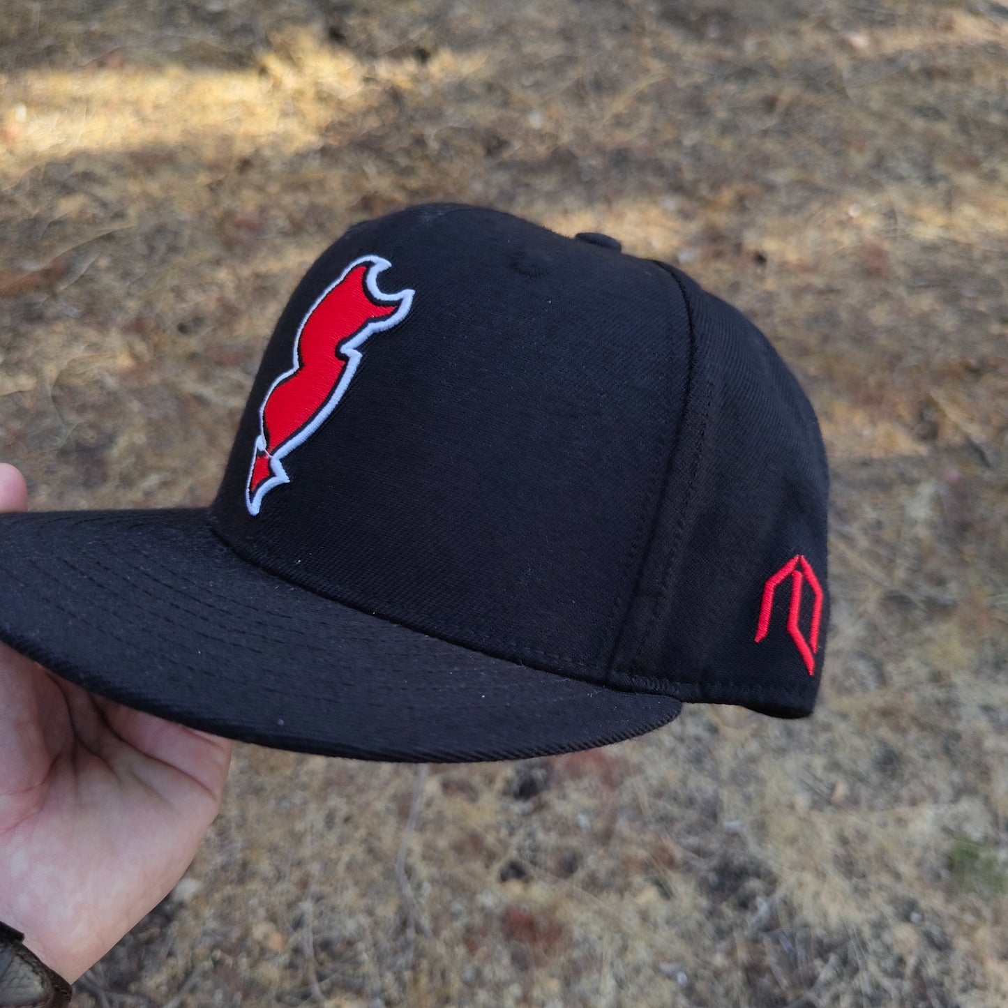 NJ Devil State hat