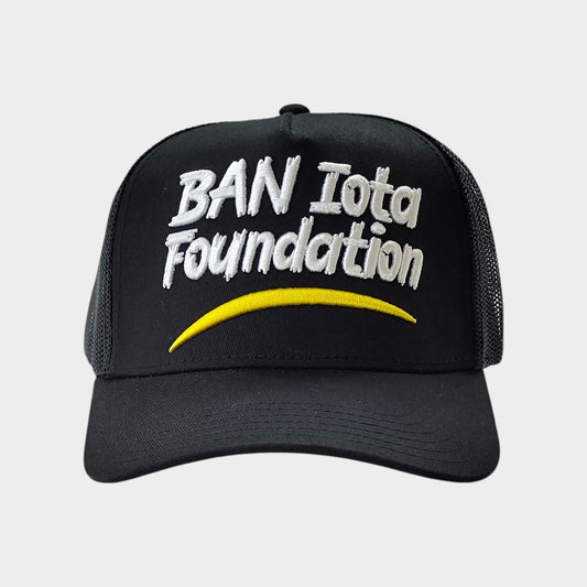 BAN IOTA FOUNDATION - BDW '23