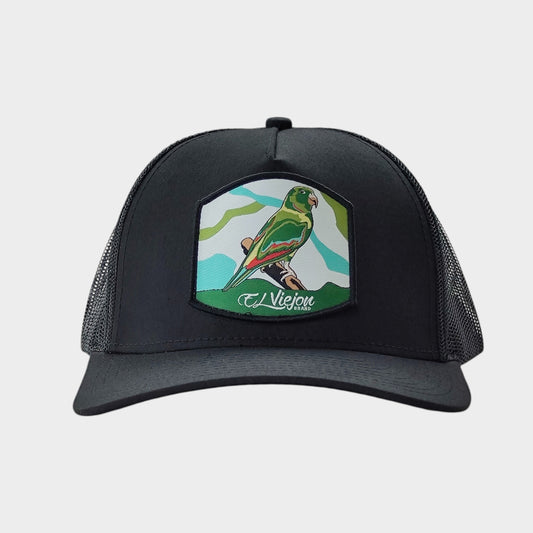 Perico Black AVC hat / gorra