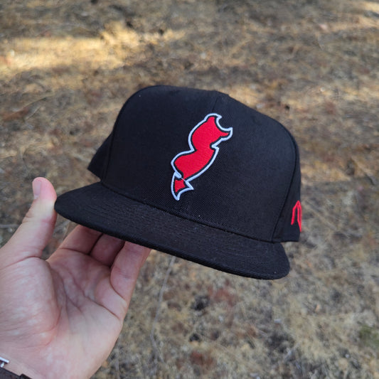 NJ Devil State hat