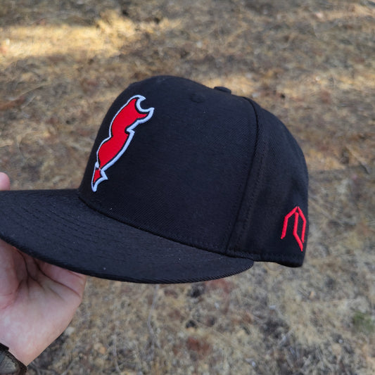NJ Devil State hat