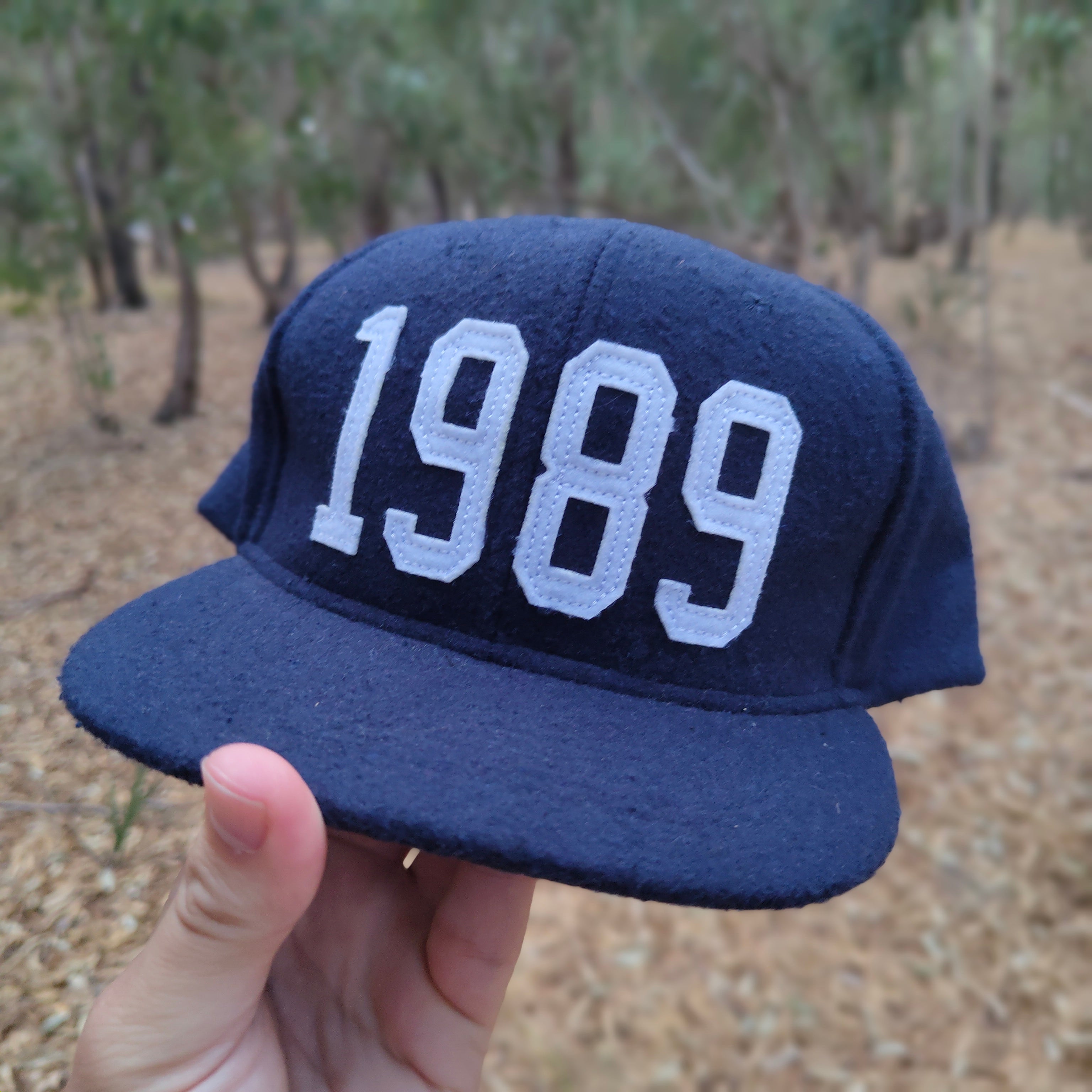 1989 SNAP