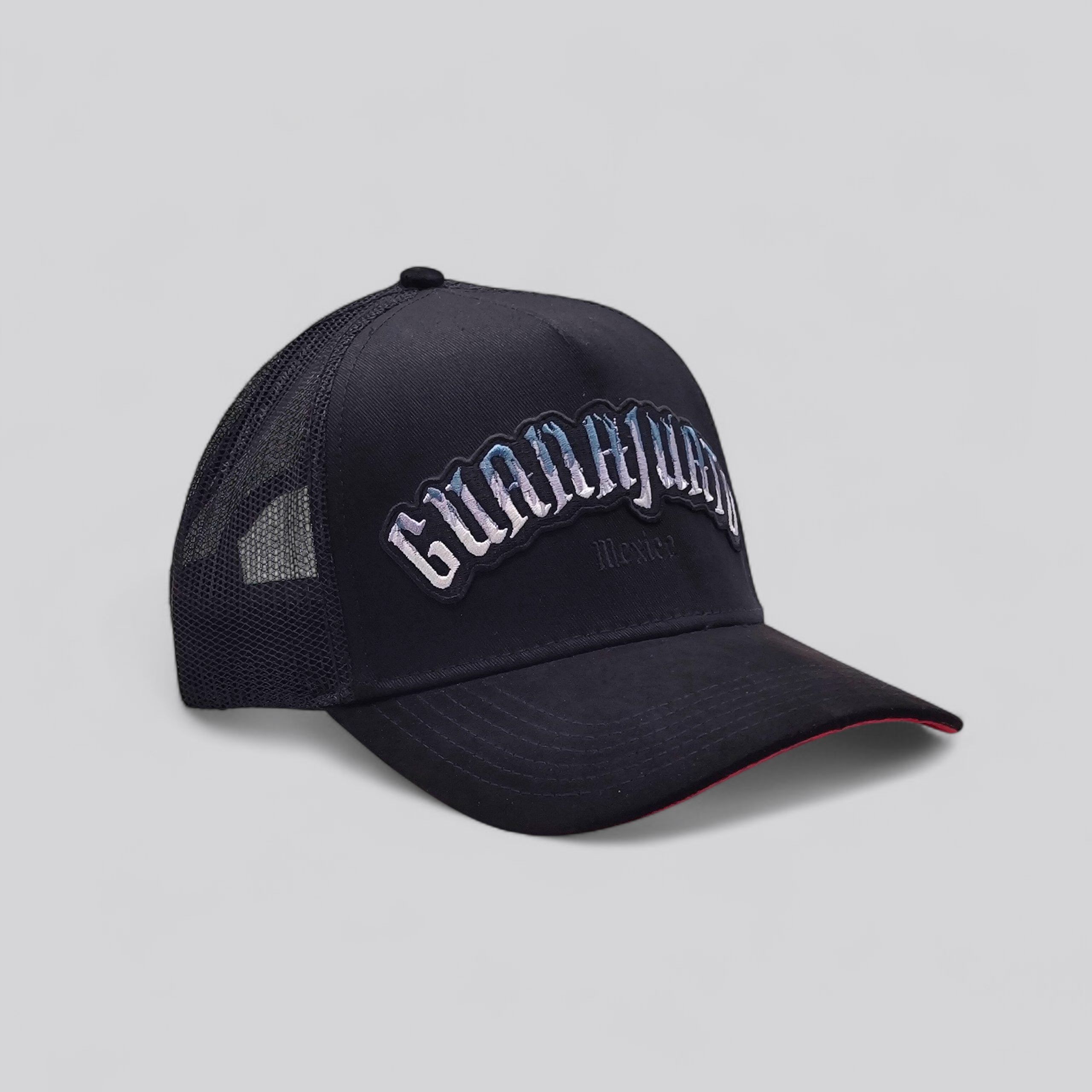 PURO PA DELANTE BRAND - GUANAJUANTO MEXICO