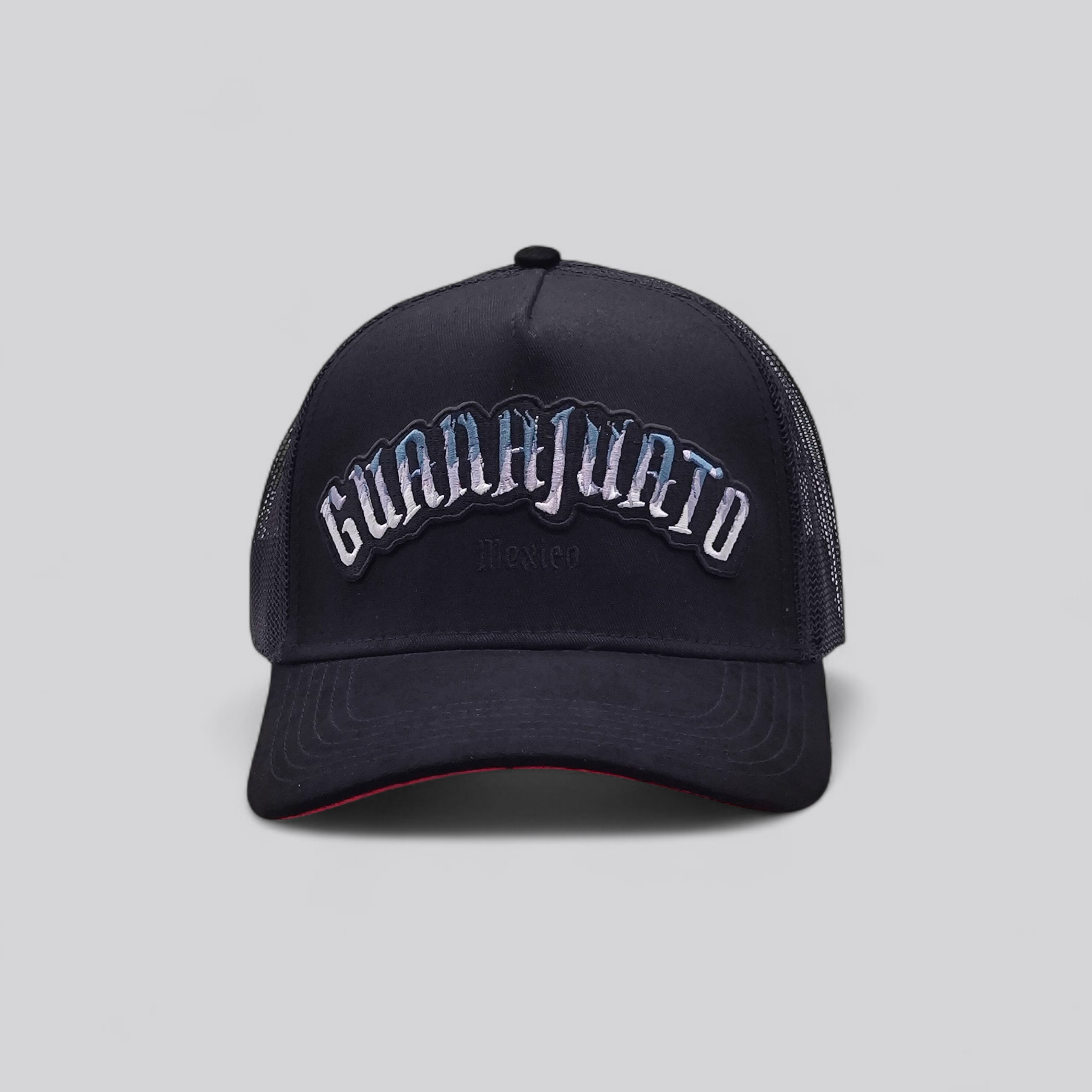 PURO PA DELANTE BRAND - GUANAJUANTO MEXICO