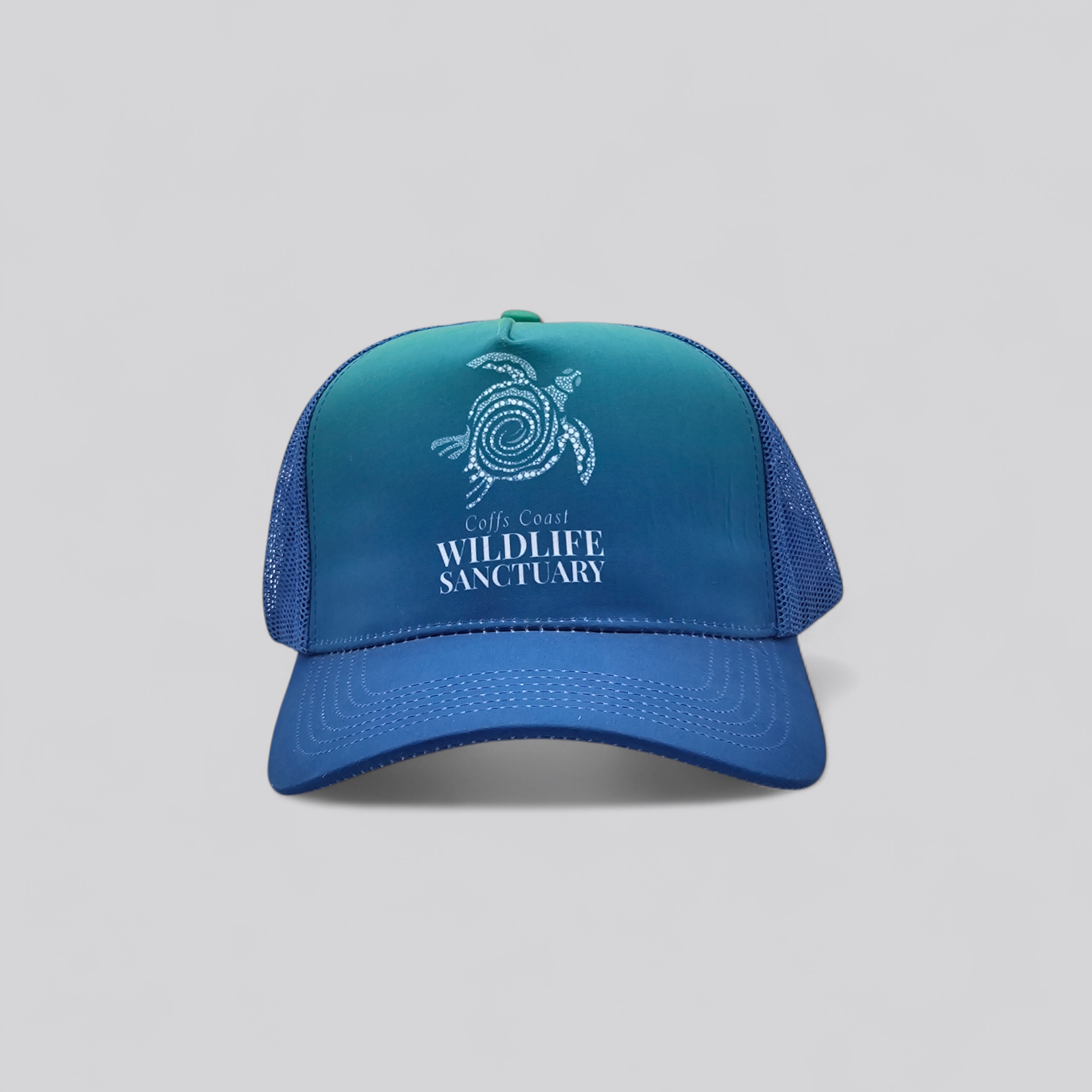 Salt Life Turtle - Coffs Coast