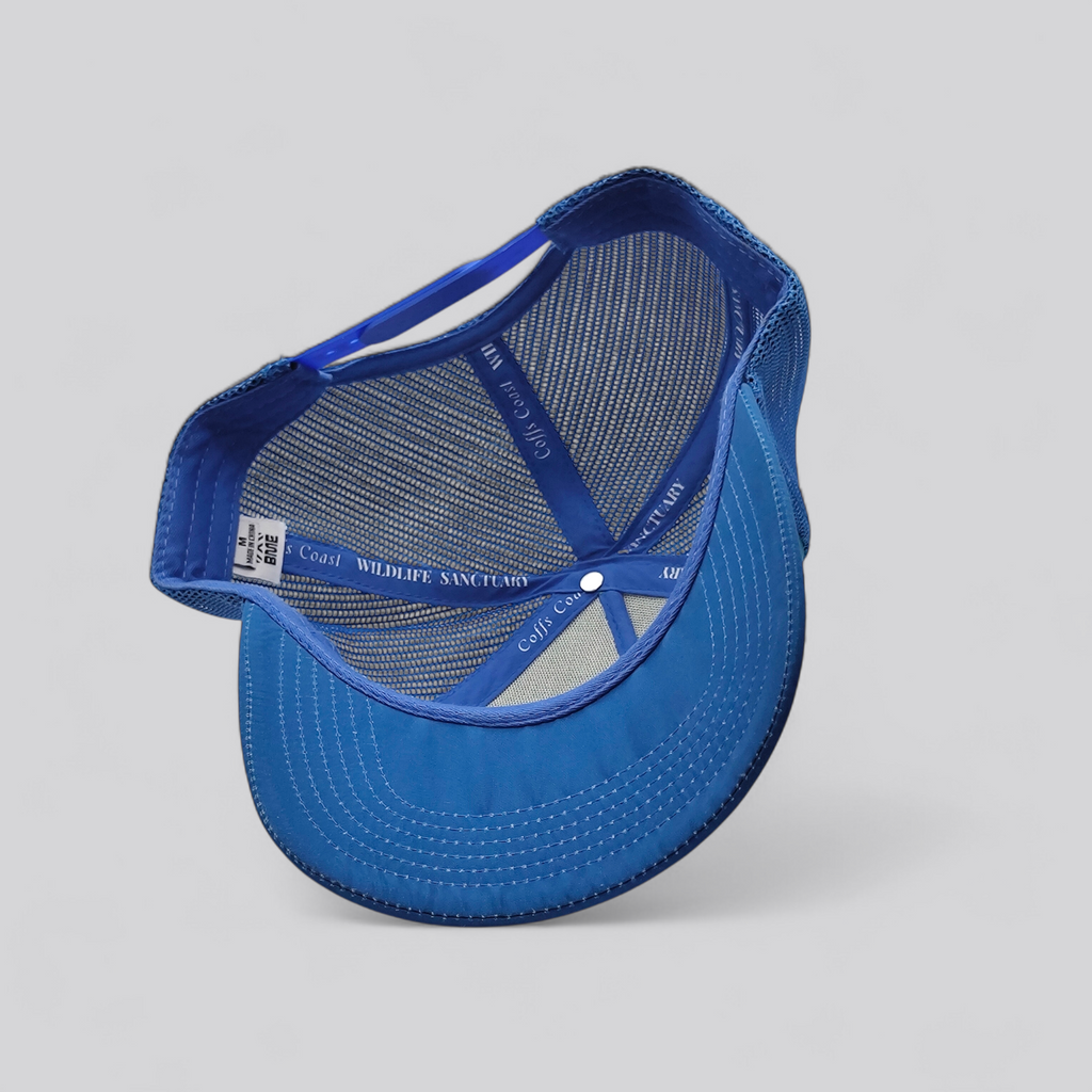 Salt Life Turtle - Coffs Coast