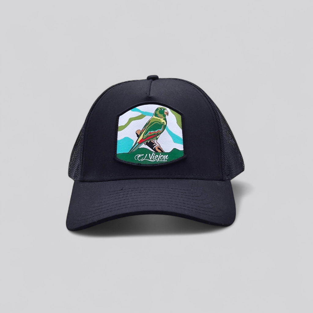 Perico Black AVC hat / gorra