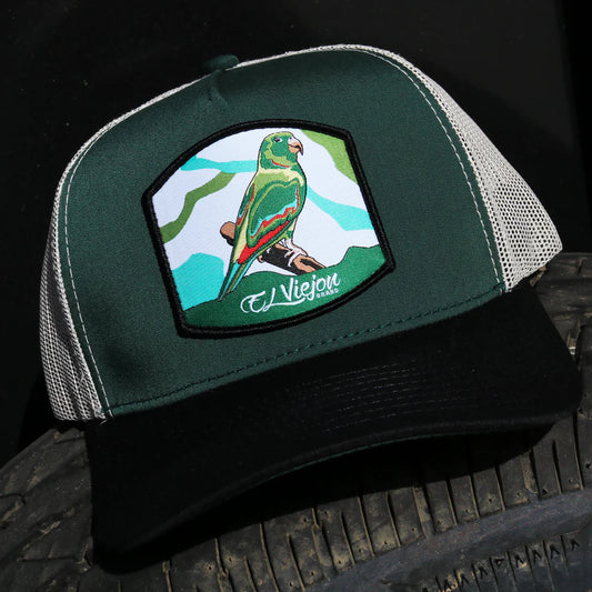 El Viejon Brand  Perico Black/Green/Tan AVC hat / gorra