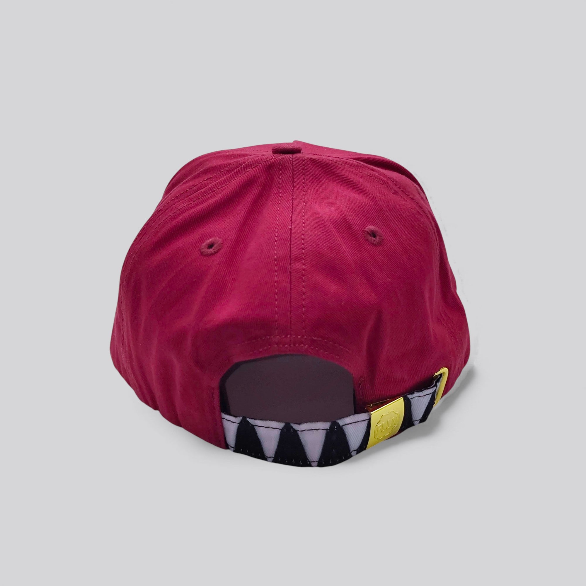 CULTURE 5PNL HAT - FLLN